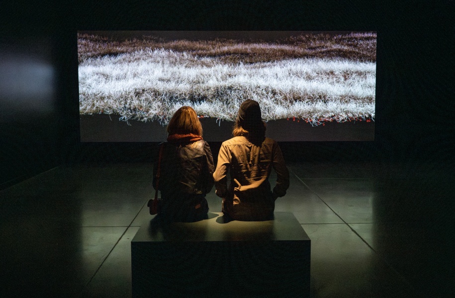 20241108 fischersund.exhibit 056