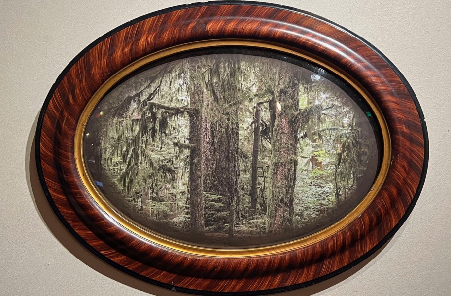 4 Carmanah Walbran Vancouver Island BC